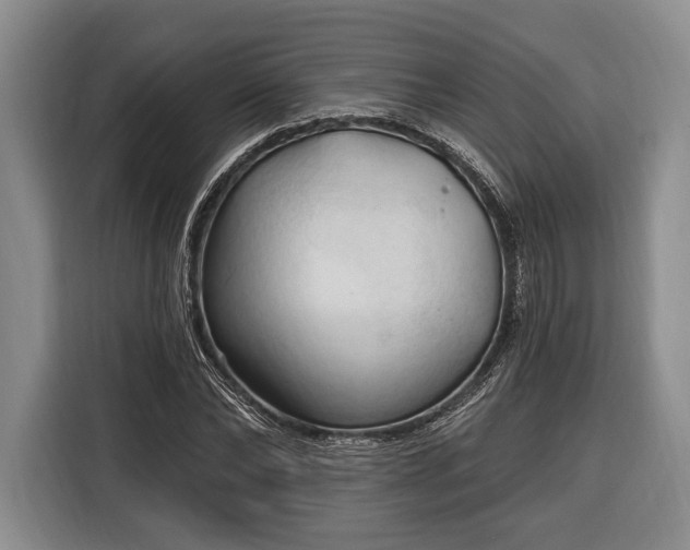 X0000116320878200912091017