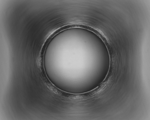 X0000116320879200912091017