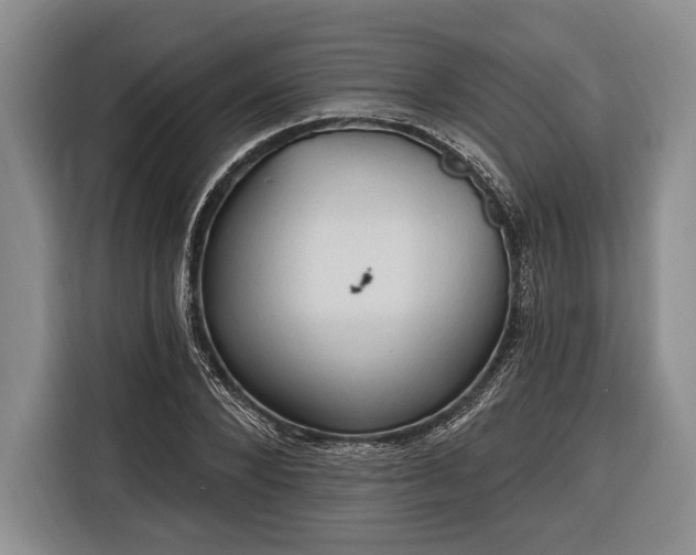 X0000116320880200912091017