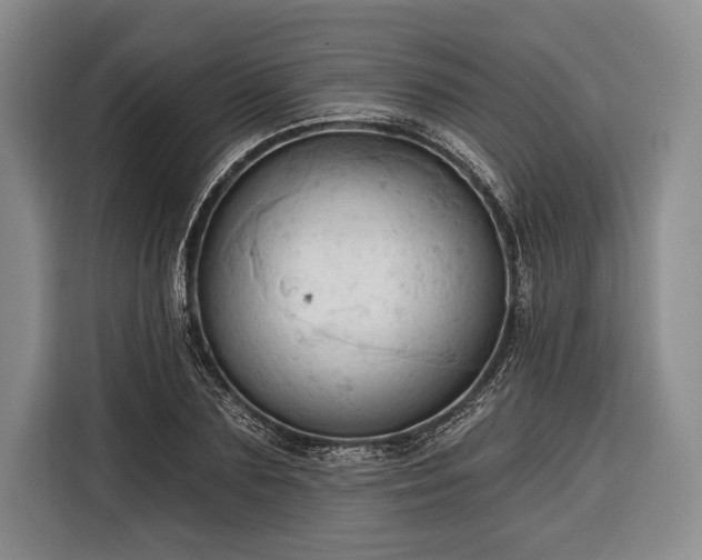 X0000116320883200912091017