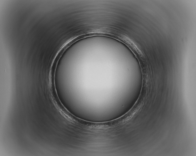 X0000116320884200912091017