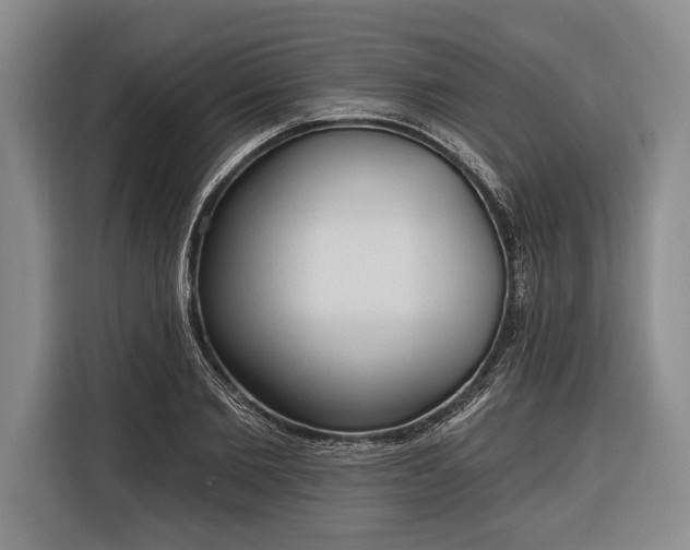 X0000116320885200912091017