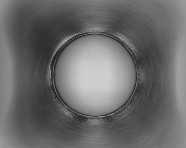 X0000116320886200912091017