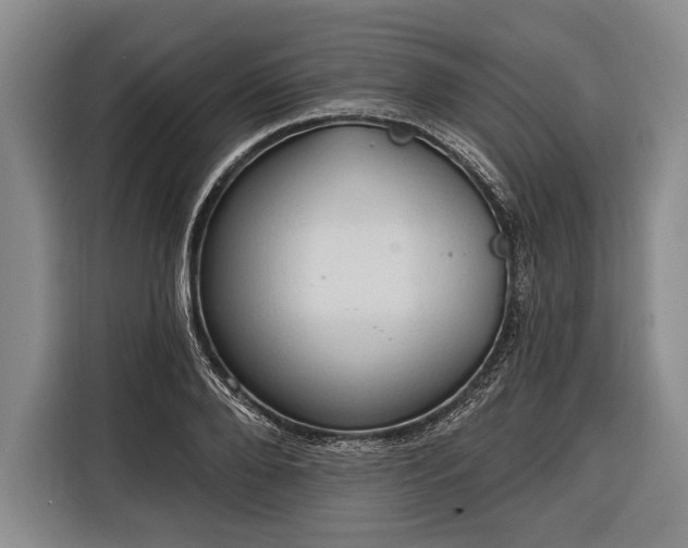 X0000116320888200912091017