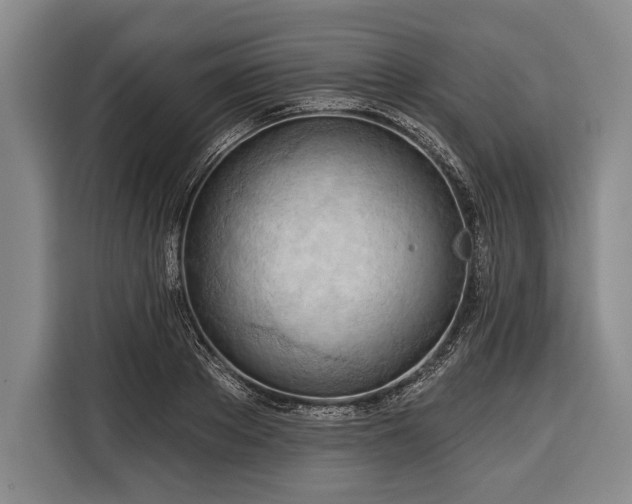 X0000116320889200912091017