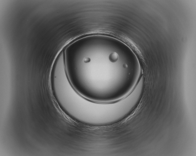 X0000116320892200912091017