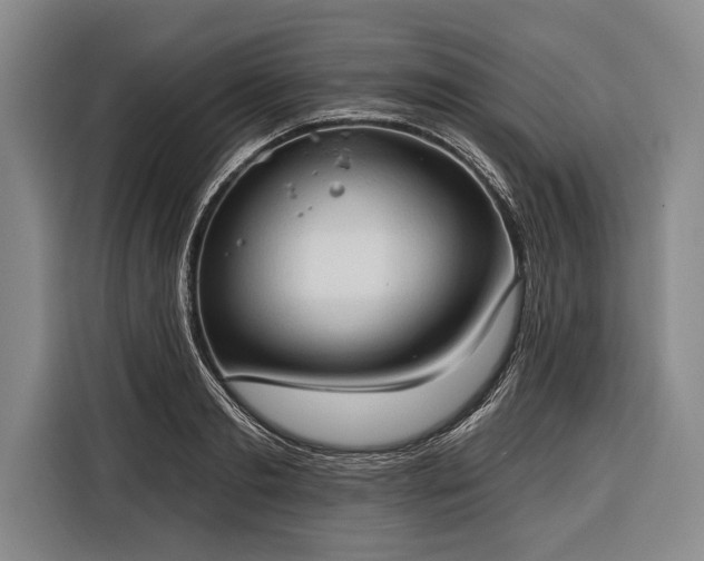 X0000116320893200912091017