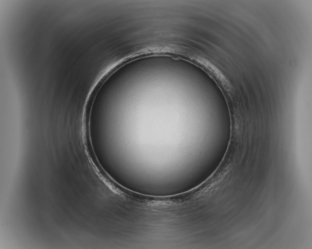 X0000116320894200912091017