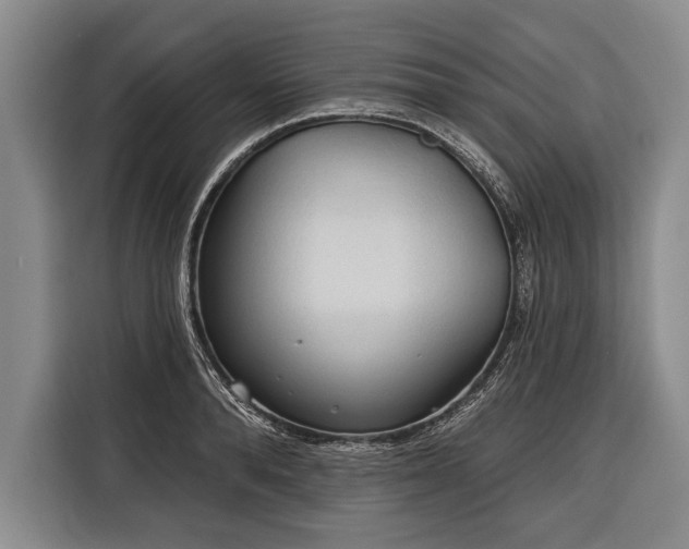 X0000116320896200912091017