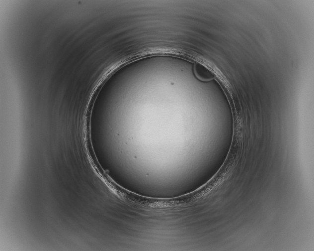 X0000116320898200912091017