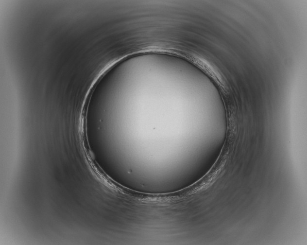 X0000116320900200912091017