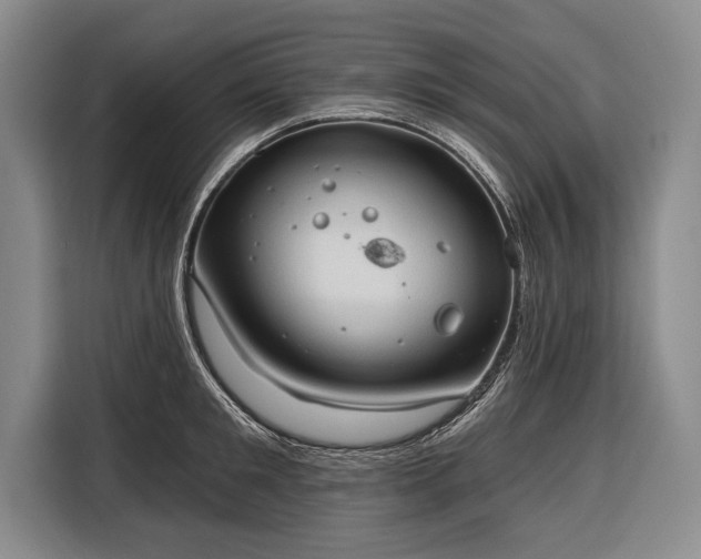 X0000116320901200912091017