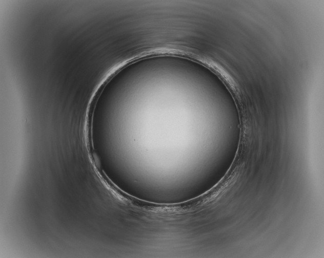 X0000116320902200912091017