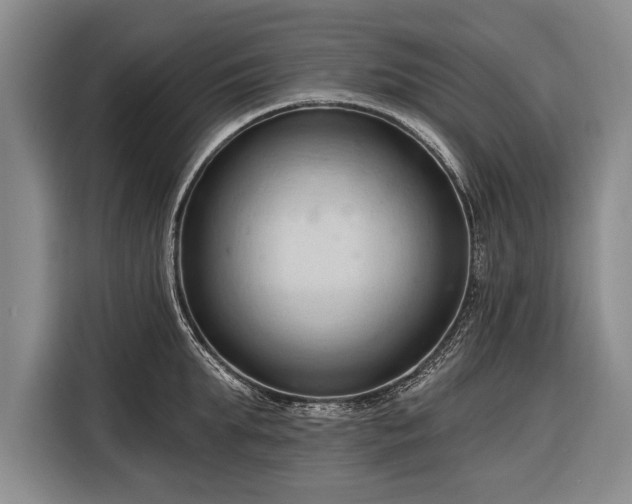 X0000116320903200912091017