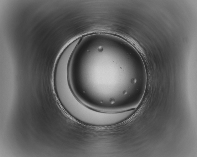 X0000116320904200912091017