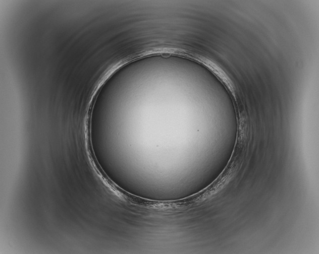 X0000116320906200912091017