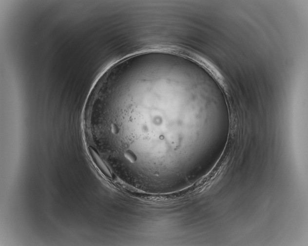 X0000116320907200912091017