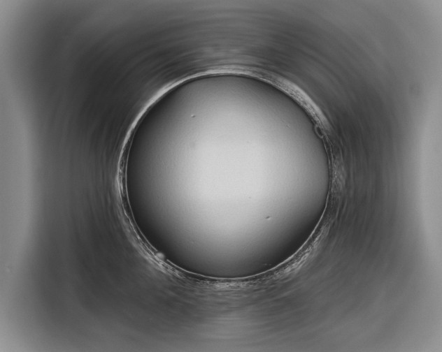 X0000116320908200912091017