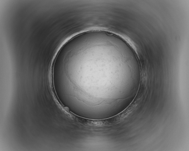 X0000116320911200912091017