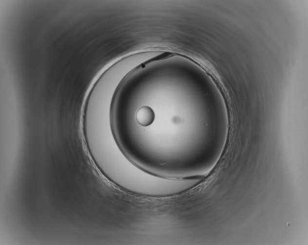 X0000116320912200912091017