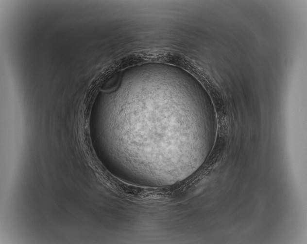 X0000116320913200912091016