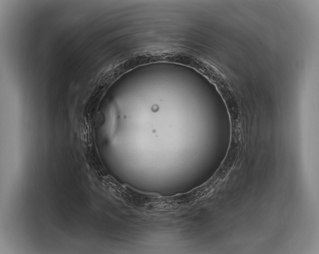 X0000116320917200912091016