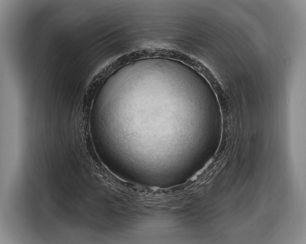 X0000116320919200912091016