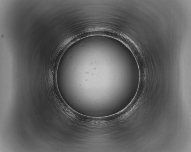 X0000116320921200912091016