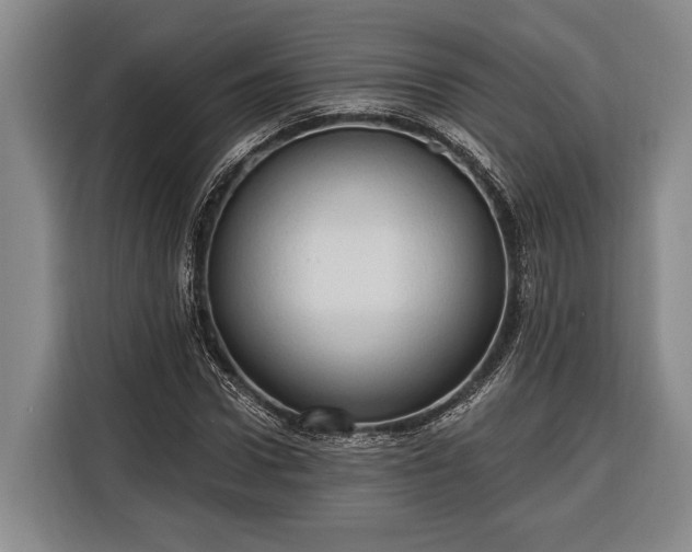 X0000116320922200912091016