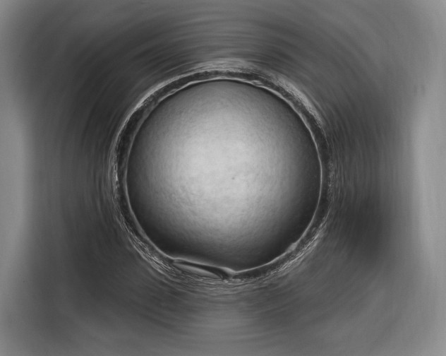 X0000116320923200912091016