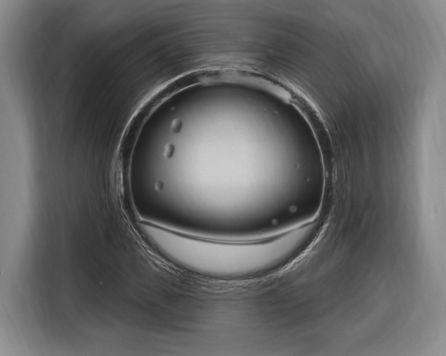 X0000116320925200912091016