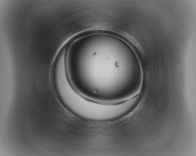 X0000116320926200912091016