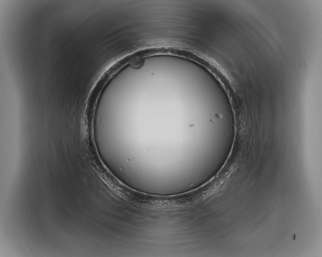 X0000116320927200912091016