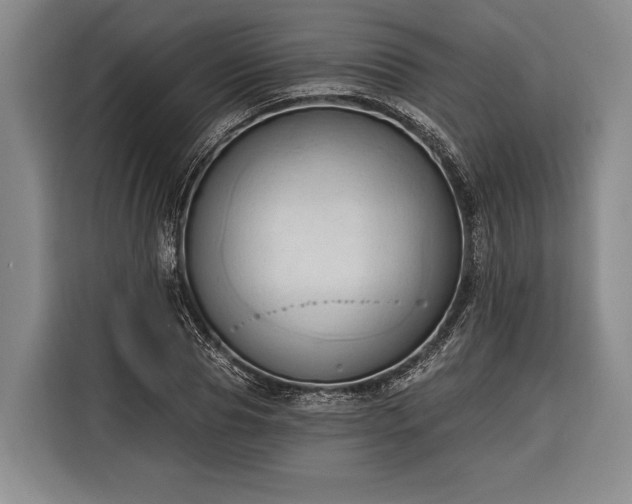 X0000116320929200912091016