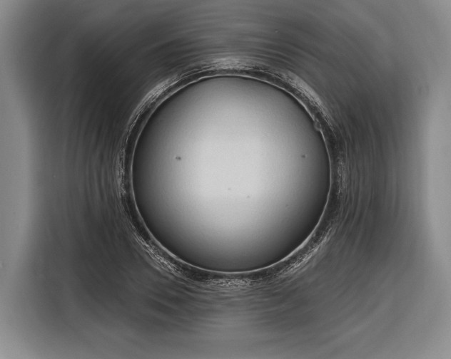 X0000116320930200912091016