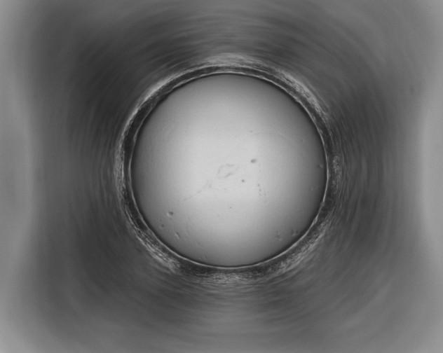 X0000116320931200912091016