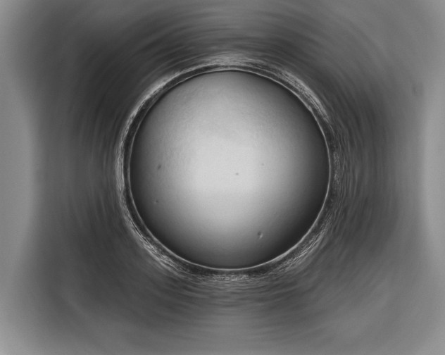 X0000116320939200912091016