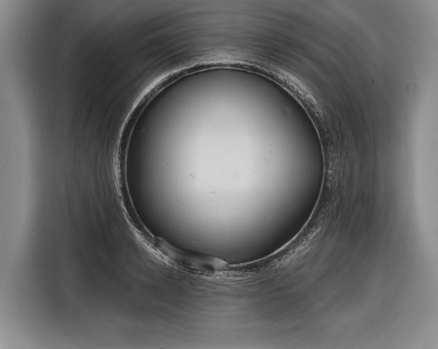 X0000116320942200912091016