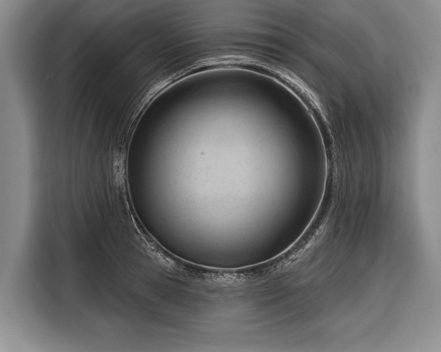 X0000116320945200912091016