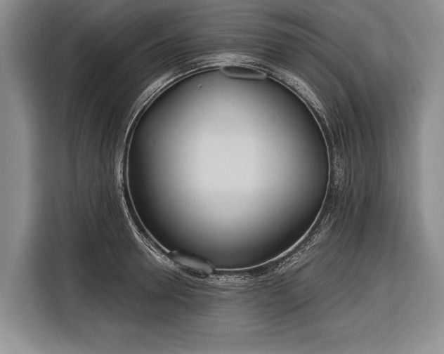 X0000116320946200912091016