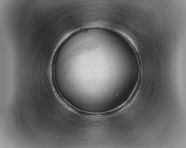 X0000116320949200912091016