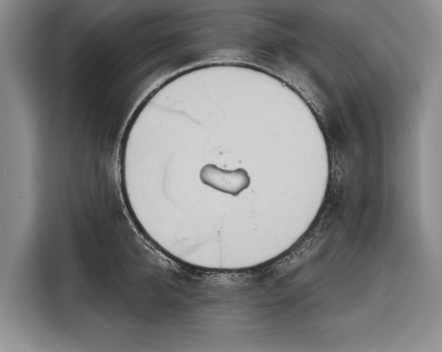 X0000116320950200912091016