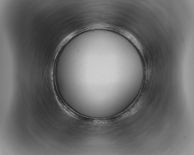 X0000116320954200912091016