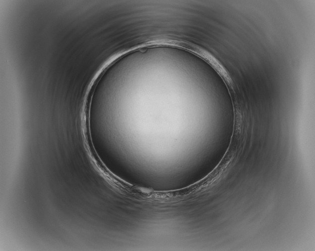 X0000116320955200912091016