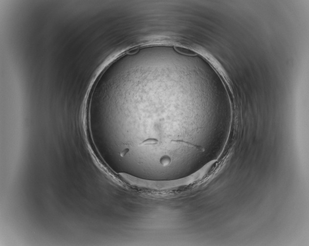 X0000116320957200912091016