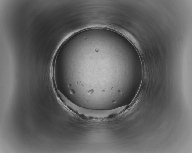 X0000116320958200912091016