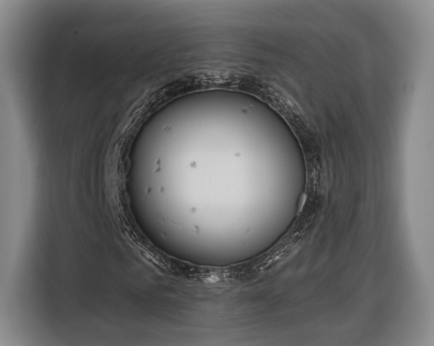 X0000116320961200912091016