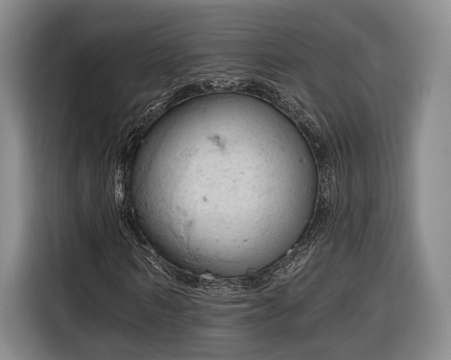 X0000116320962200912091016