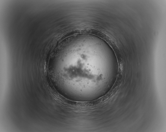 X0000116320963200912091016