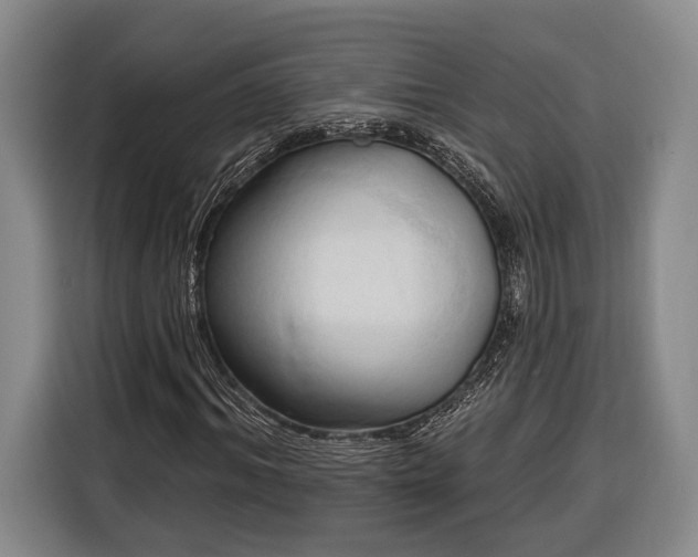 X0000116320964200912091016